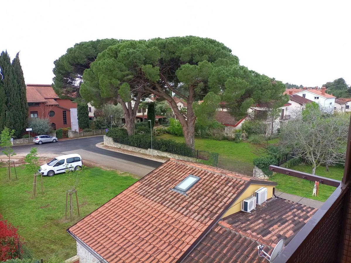 Apartments Ingrid Novigrad Istria Esterno foto