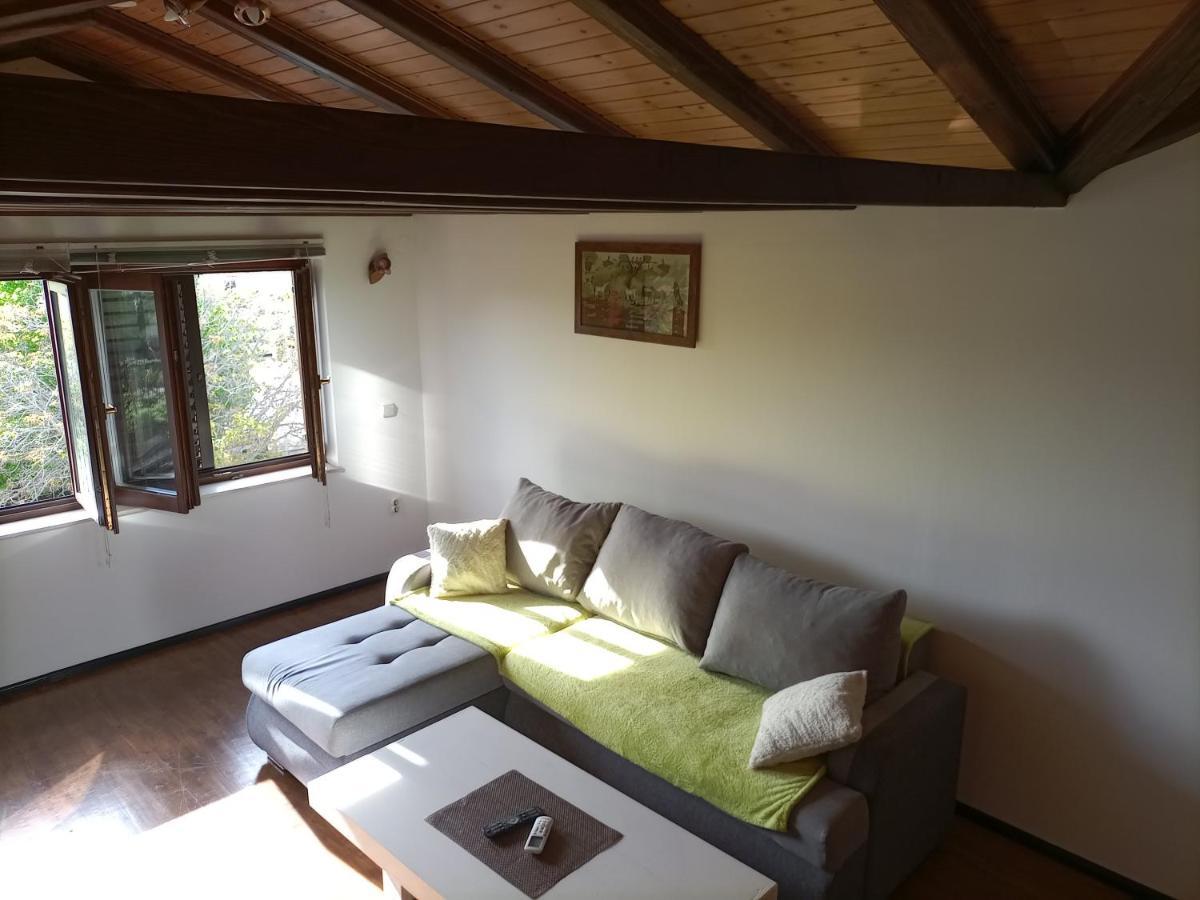 Apartments Ingrid Novigrad Istria Esterno foto