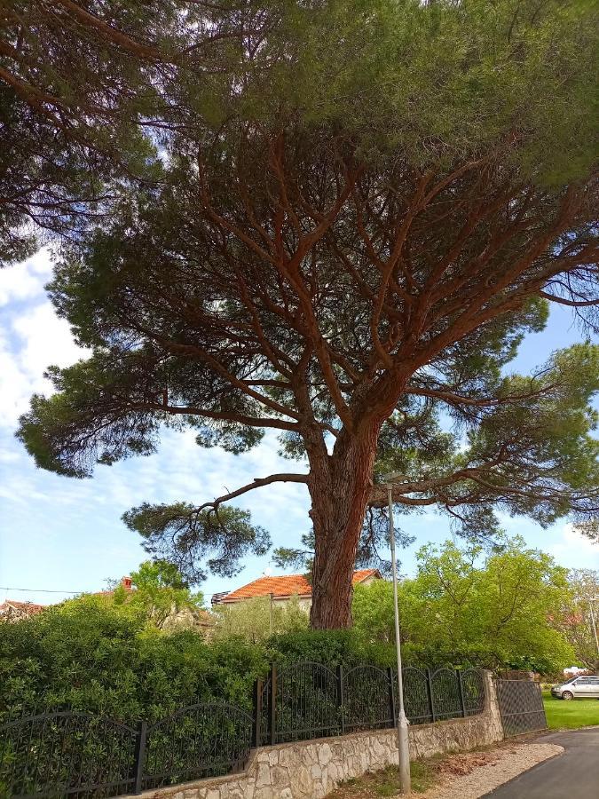 Apartments Ingrid Novigrad Istria Esterno foto