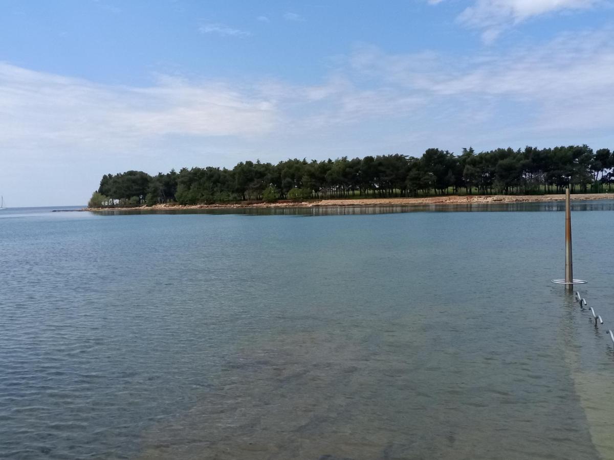 Apartments Ingrid Novigrad Istria Esterno foto