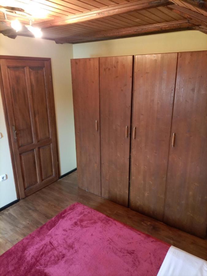 Apartments Ingrid Novigrad Istria Esterno foto