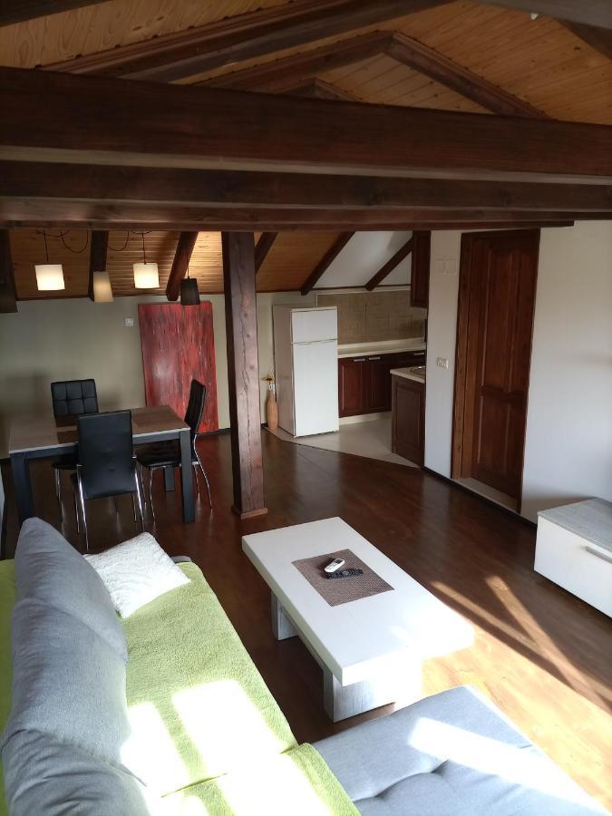 Apartments Ingrid Novigrad Istria Esterno foto
