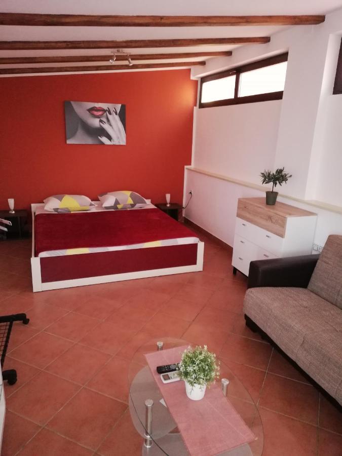 Apartments Ingrid Novigrad Istria Esterno foto