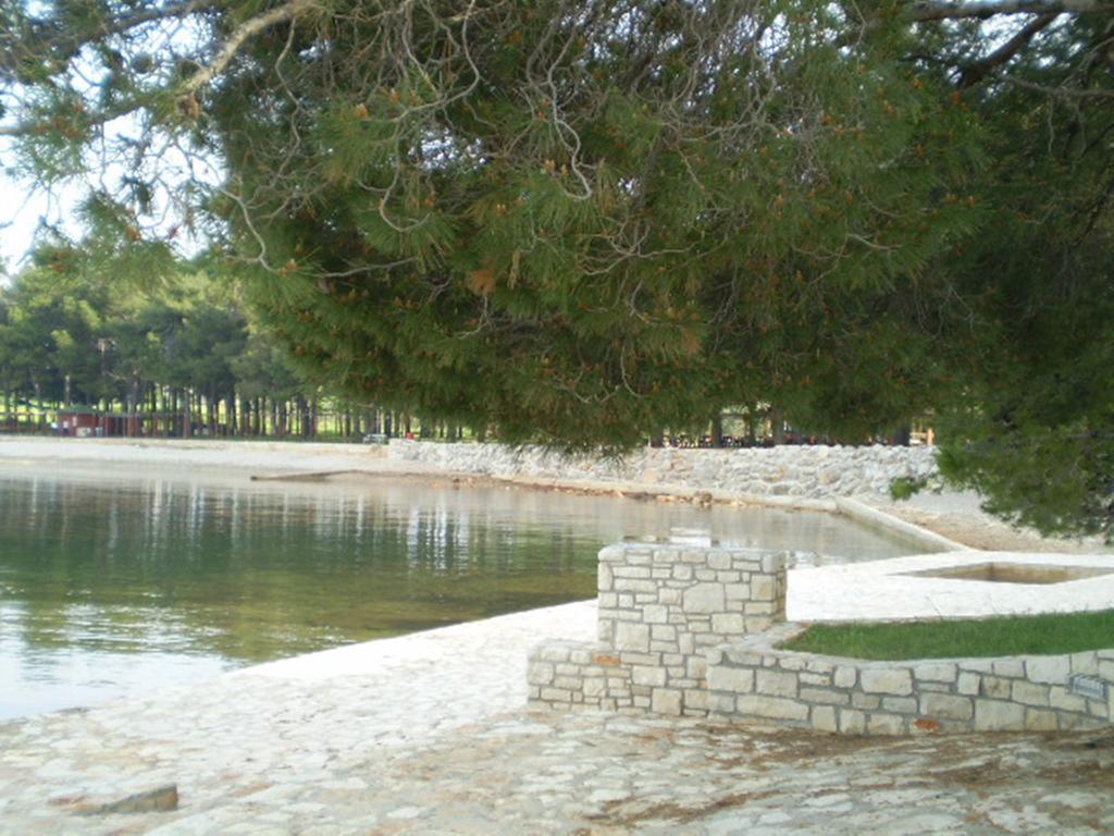 Apartments Ingrid Novigrad Istria Esterno foto