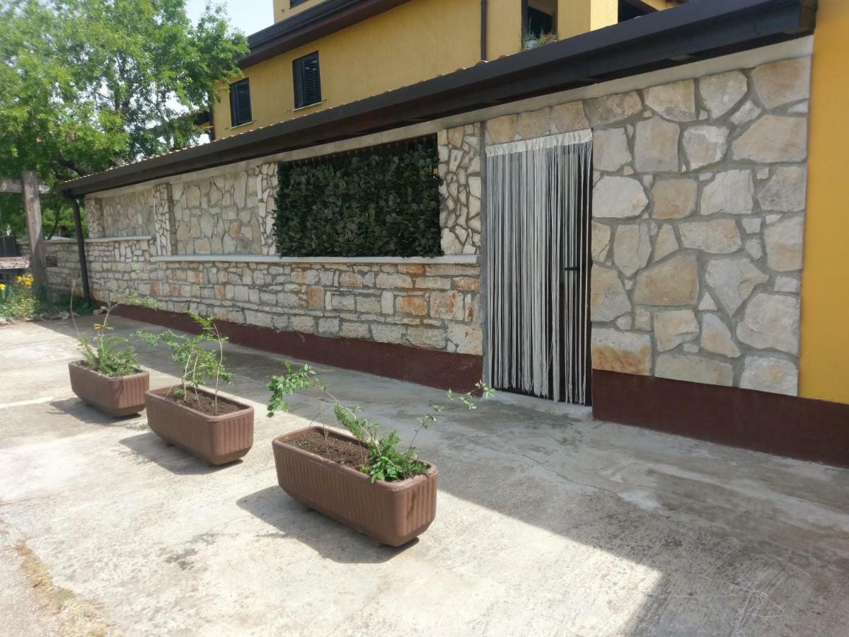 Apartments Ingrid Novigrad Istria Esterno foto
