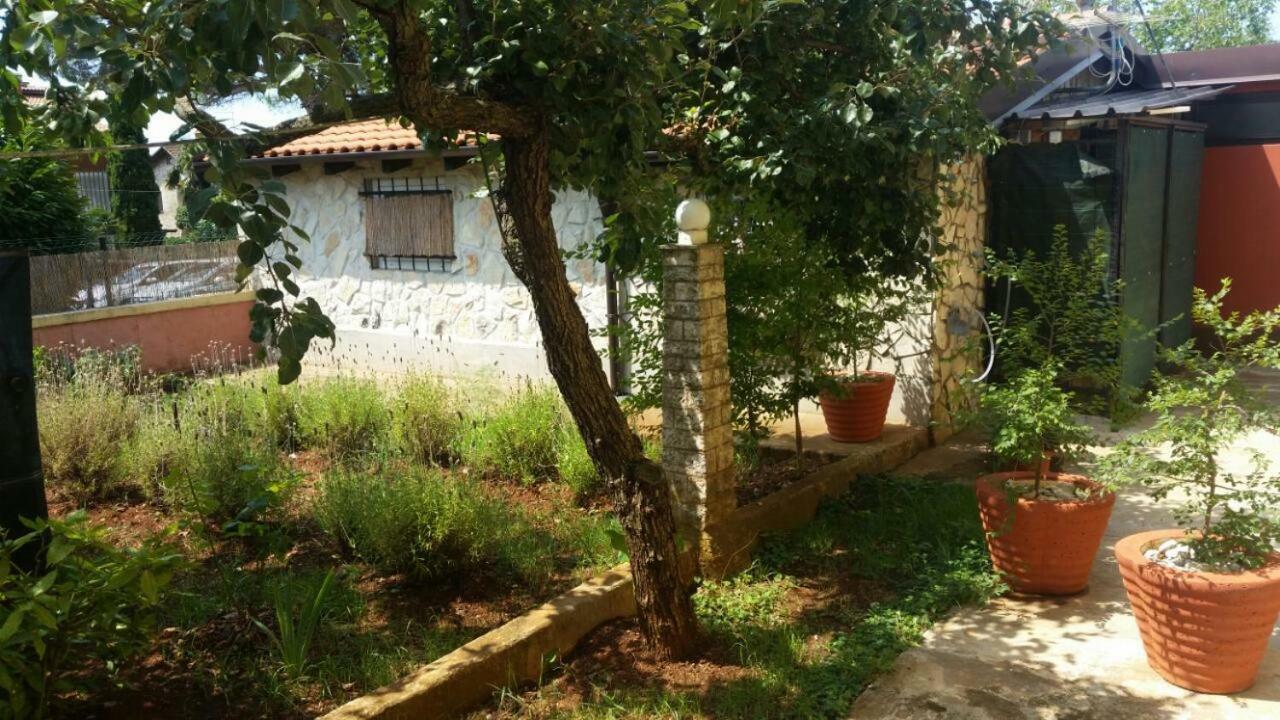 Apartments Ingrid Novigrad Istria Esterno foto