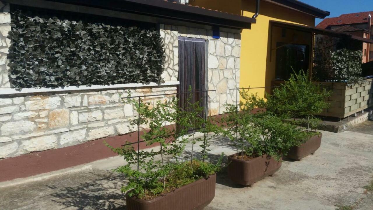 Apartments Ingrid Novigrad Istria Esterno foto