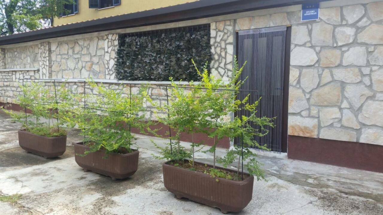 Apartments Ingrid Novigrad Istria Esterno foto